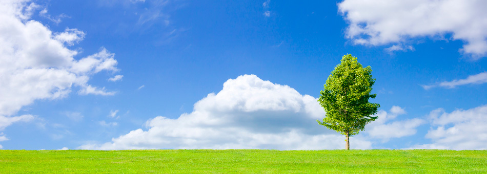 オリジナルハンドバッグの　ロビンソン　です。